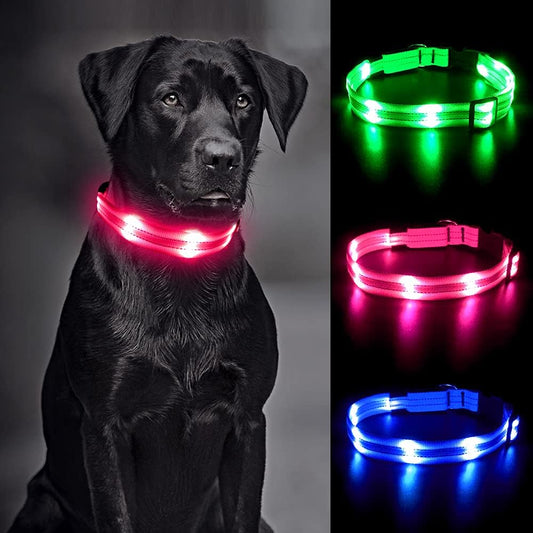 Regal Rovers LED Dog Collar